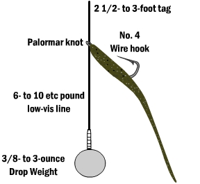 Drop Shot Hook to Weight Length EXPLAINED 